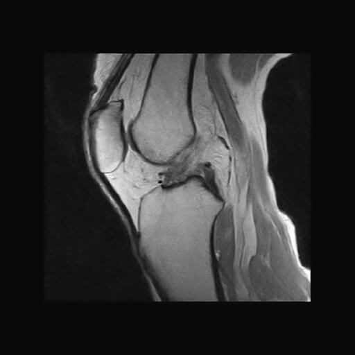 まつえだ整形外科・ウェルスポーツクリニック